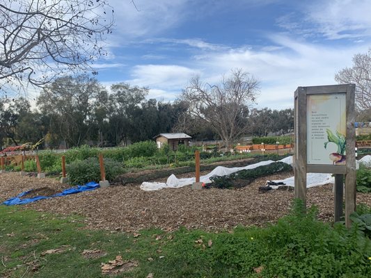 Coastal Roots Farm by null