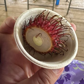 Lydgate Chocolate Tasting Room - Rambutan - Chocolatiers & Shops Near Me - Kapaʻa, Hawaii