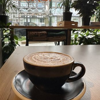 Wicked Cafe & Bakery - Cappuccino (8 Oz) - Cafes Near Me - Vancouver, British Columbia Wicked Cafe & Bakery - Cappuccino (8 Oz) - Cafes Near Me - Vancouver, British Columbia