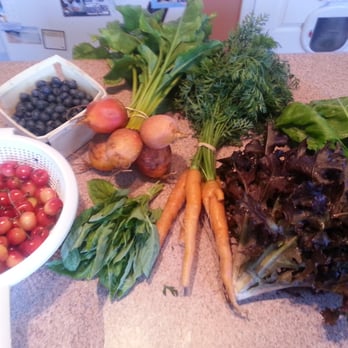 Native Offerings Farm - A typical individual vegetable share, with half a fruit share - CSA Near Me - Little Valley, New York Native Offerings Farm - A typical individual vegetable share, with half a fruit share - CSA Near Me - Little Valley, New York