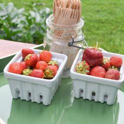 Wilt’s Berries