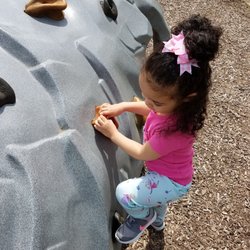 Friendship Park