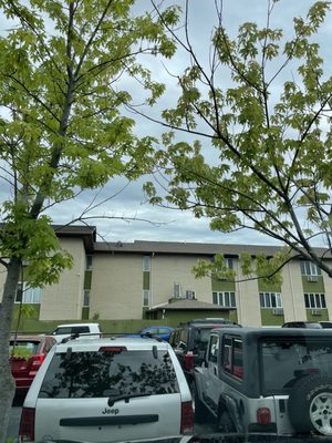 ILLINOIS DEPARTMENT OF MOTOR VEHICLES - Updated March 2026 - 50 Reviews ...