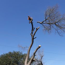 Patriot Timber And Land Service