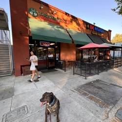 Taqueria Los Dos Gallos - Dogs love tacos... they appreciate places with outdoor patios