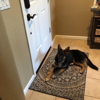 Service Kings - Carpet Cleaning Near Me - Roseville, California Service Kings - Carpet Cleaning Near Me - Roseville, California