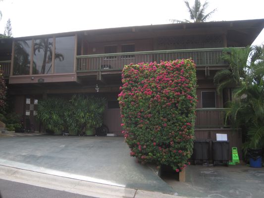 Maui What a Wonderful World Bed and Breakfast by null