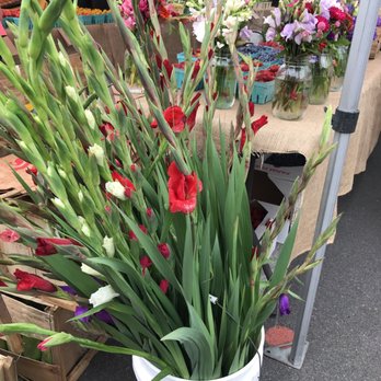 The Crossings - a potted plant with red and white flowers - Farmers Market Near Me - Albany, New York The Crossings - a potted plant with red and white flowers - Farmers Market Near Me - Albany, New York