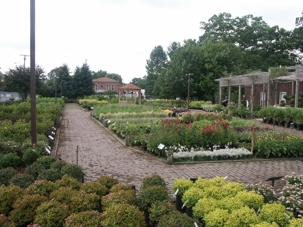 CHAPMAN’S NURSERY & GARDEN CENTER Updated October 2024 15200 Beadle Lake Rd, Battle Creek