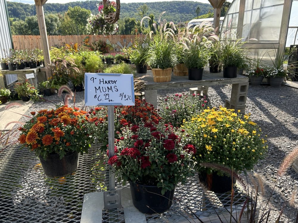 Food from Cold Spring Farm