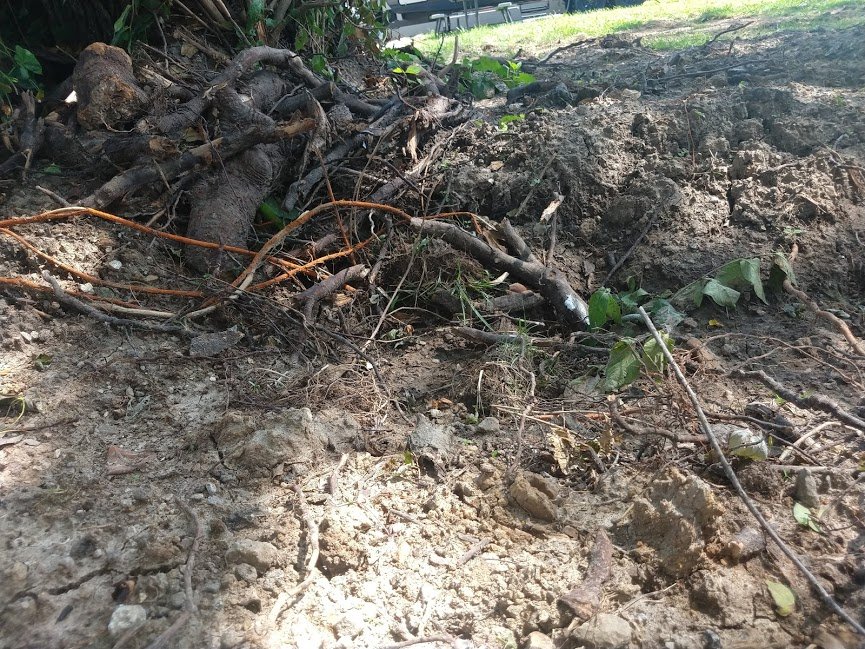 Slide of All American Pumping & Drain