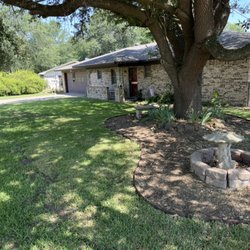 Yard Shark - Tree ring and sod project