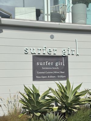 Surfer Girl by null