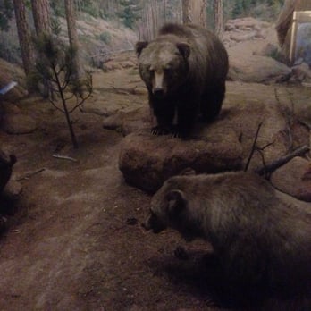 Field Museum - Museums Near Me - Chicago, Illinois Field Museum - Museums Near Me - Chicago, Illinois