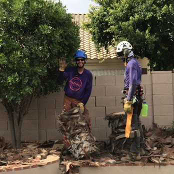 Heartwood Tree Care - Tree Services Near Me - Mesa, Arizona