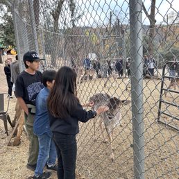 Petting zoo Petting zoo