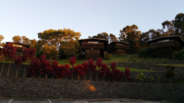 Kula Sandalwoods Inn & Cafe by null