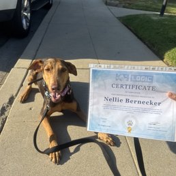 Nellie with her " diploma" Nellie with her " diploma"
