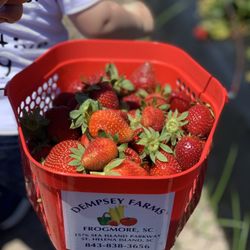 Dempsey Farms