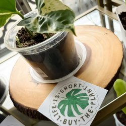 K & K Hair - Planning add a plant for excellence.