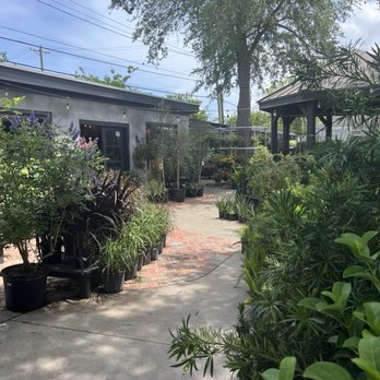Meeting Green - Nurseries & Gardening Near Me - Charleston, South Carolina Meeting Green - Nurseries & Gardening Near Me - Charleston, South Carolina