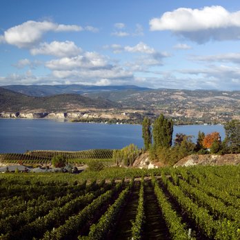 Dan Jones - Real Estate Agents Near Me - Penticton, British Columbia Dan Jones - Real Estate Agents Near Me - Penticton, British Columbia
