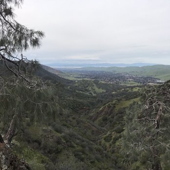 Waterfall Loop at Mount Diablo State Park - Hiking Near Me - Clayton, California