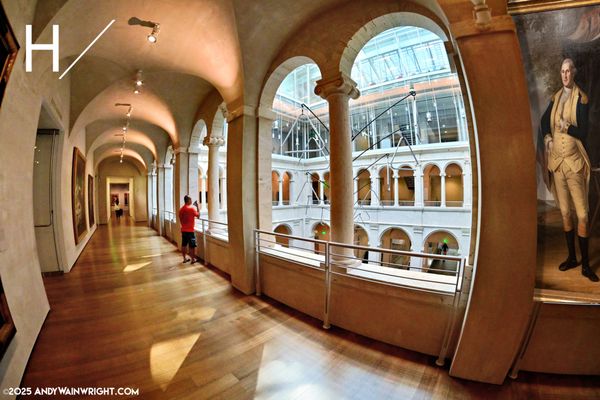 Harvard Art Museums by null