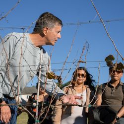 Vineyard Voyages