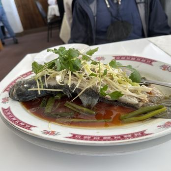 Little Hong Kong - Steam fish - Chinese Near Me - El Cerrito, California