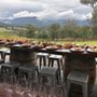 Megalong Creek Estate