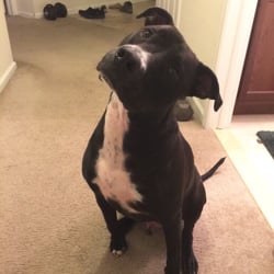 Lenny!