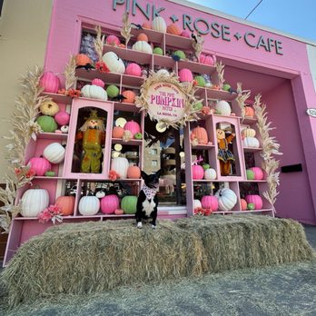 Pink Rose Cafe - Coffee & Tea Near Me - La Mesa, California Pink Rose Cafe - Coffee & Tea Near Me - La Mesa, California