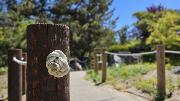 Japanese Friendship Garden by null