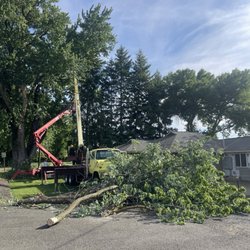 Town & Country Tree Service - Crane and cutter at work