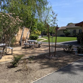 Green Works ATS - Lawn after 6 mos. - Artificial Turf Near Me Green Works ATS - Lawn after 6 mos. - Artificial Turf Near Me