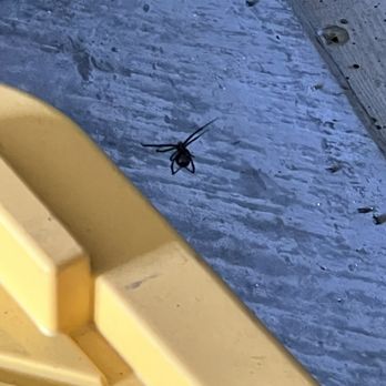 Extra Space Storage - Black widow - Self Storage Near Me - Livermore, California