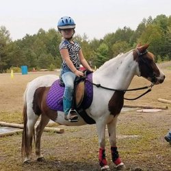 Pony playground horse obstacle course LLC - Test riding English saddles.