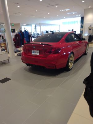 BMW OF WEST HOUSTON - Updated May 2025 - 118 Photos & 312 Reviews ...