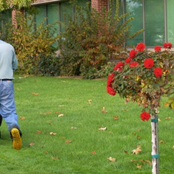 Antony Charles Treescapes - Tree Services Near Me - Walsall, XWM Antony Charles Treescapes - Tree Services Near Me - Walsall, XWM