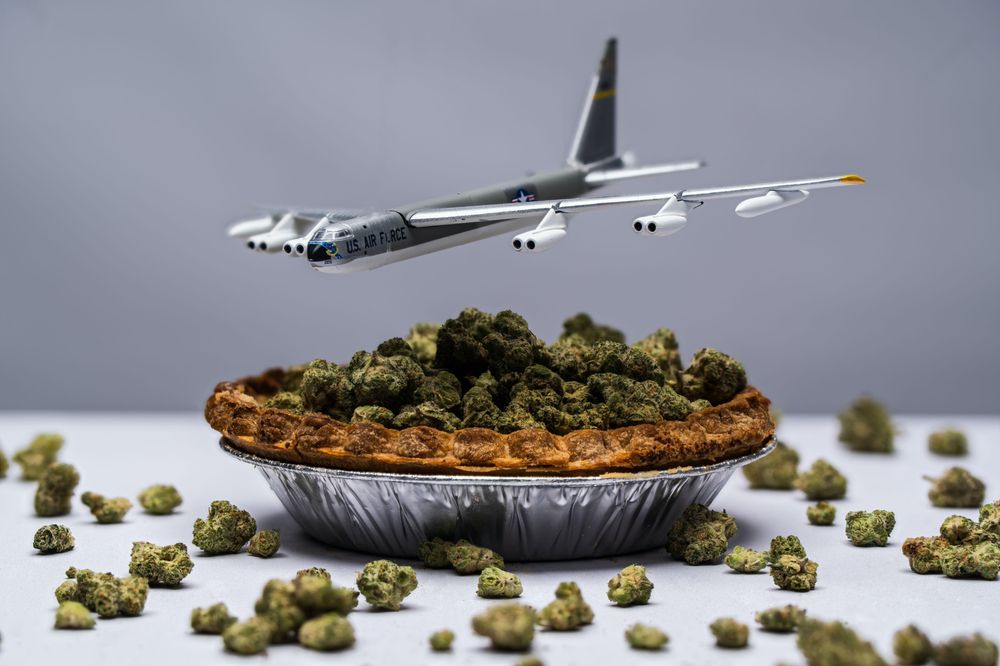 ZEN LEAF BOWLING GREEN Updated September 2024 84 Photos 1155 N