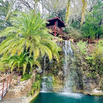 Cedar Lakes Woods and Gardens - Botanical Gardens Near Me - Williston, Florida