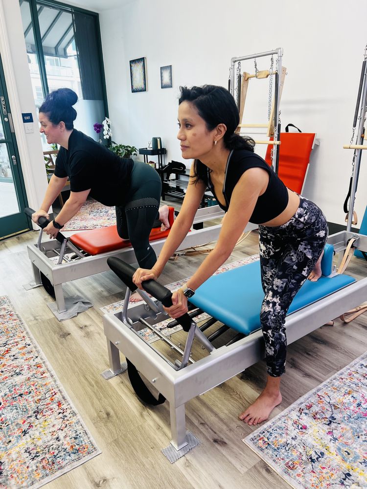 Swan Movement Arts Logo