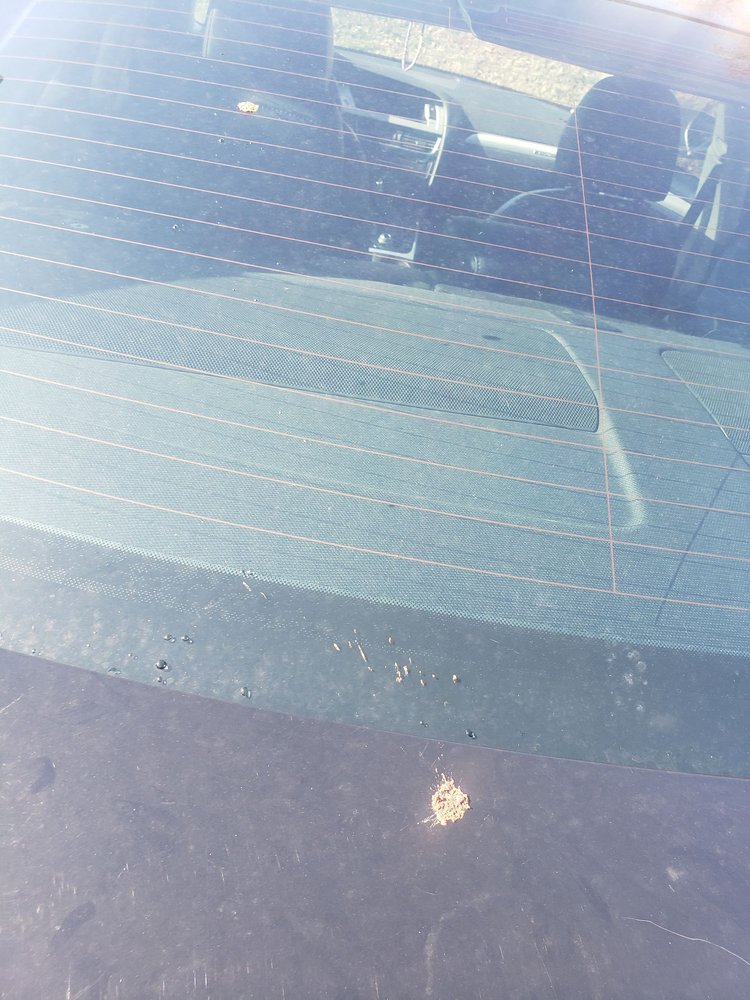 RACE CITY CAR WASH Updated September 2024 111 River Park Rd