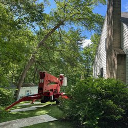 Rick's Tree Service - The leaning tree, the lift and the mats.