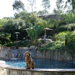 Bluewater Pool-Spa-Fountain