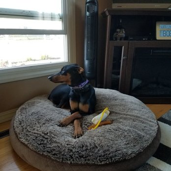 Palouse River Kennels - Pet Training Near Me - Palouse, Washington Palouse River Kennels - Pet Training Near Me - Palouse, Washington