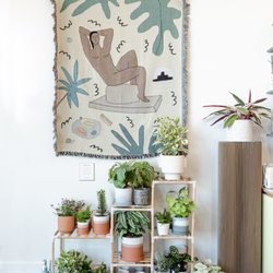 Highlow Gift Shop - Potted plants make great gifts.