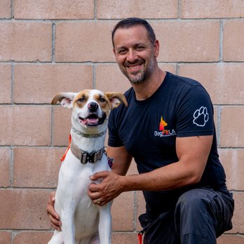 Dog Fit LA - Pet Training Near Me
