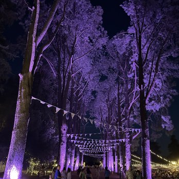 Lavender Nights - Purple vibes. - Festivals Near Me - Cherry Valley, California